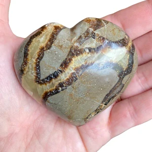 Septárie Srdce 6x5,5 cm 