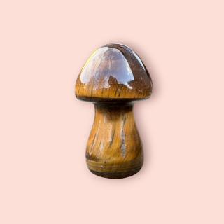 Tygří oko houbička 3,5 cm 