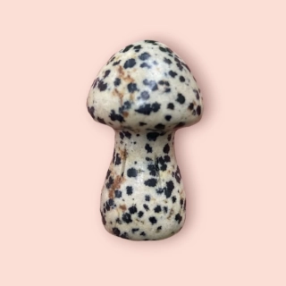 Dalmatin jaspis houbička 3,5 cm 